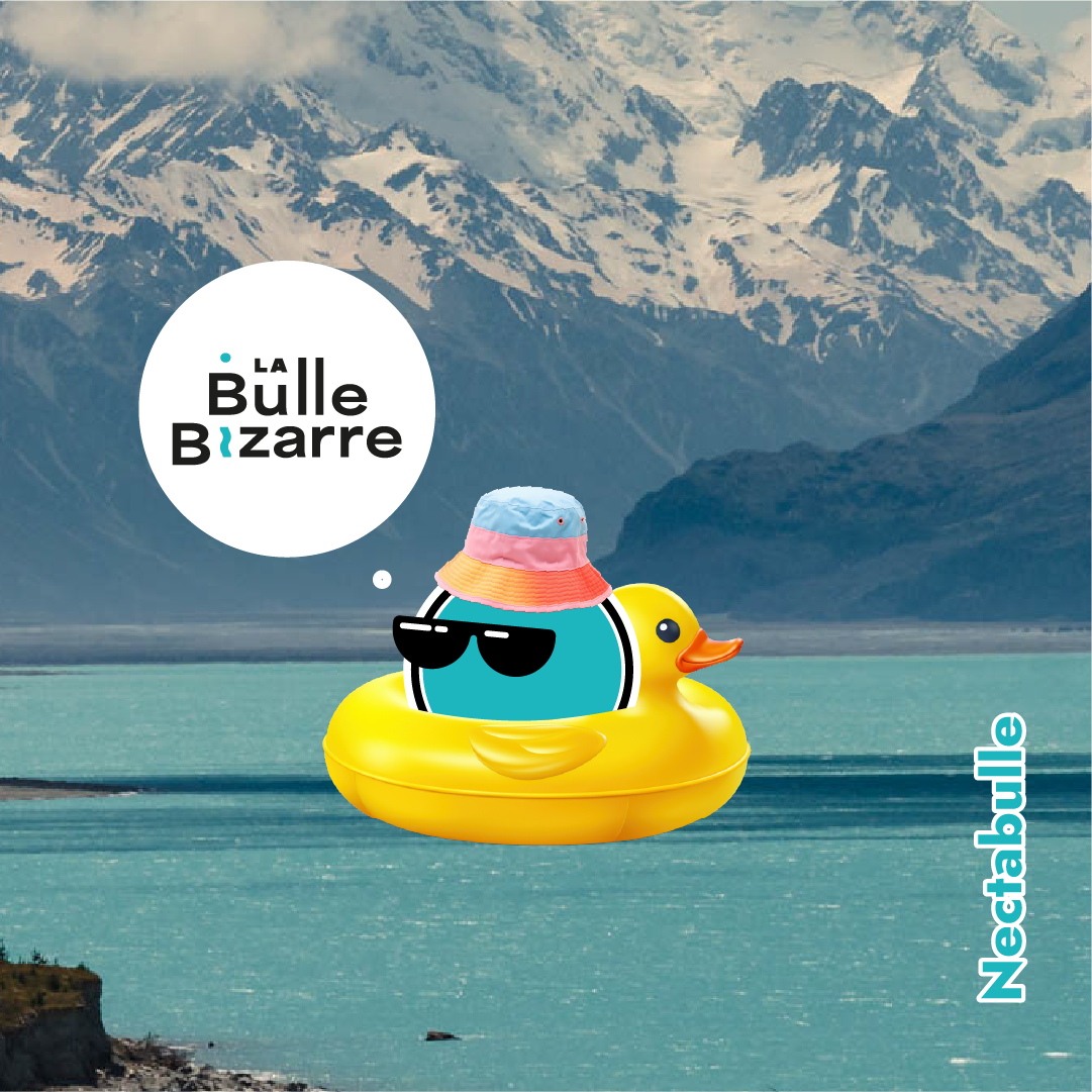 Pack Nectabulle - NEIPA Nectaron Ma boutique