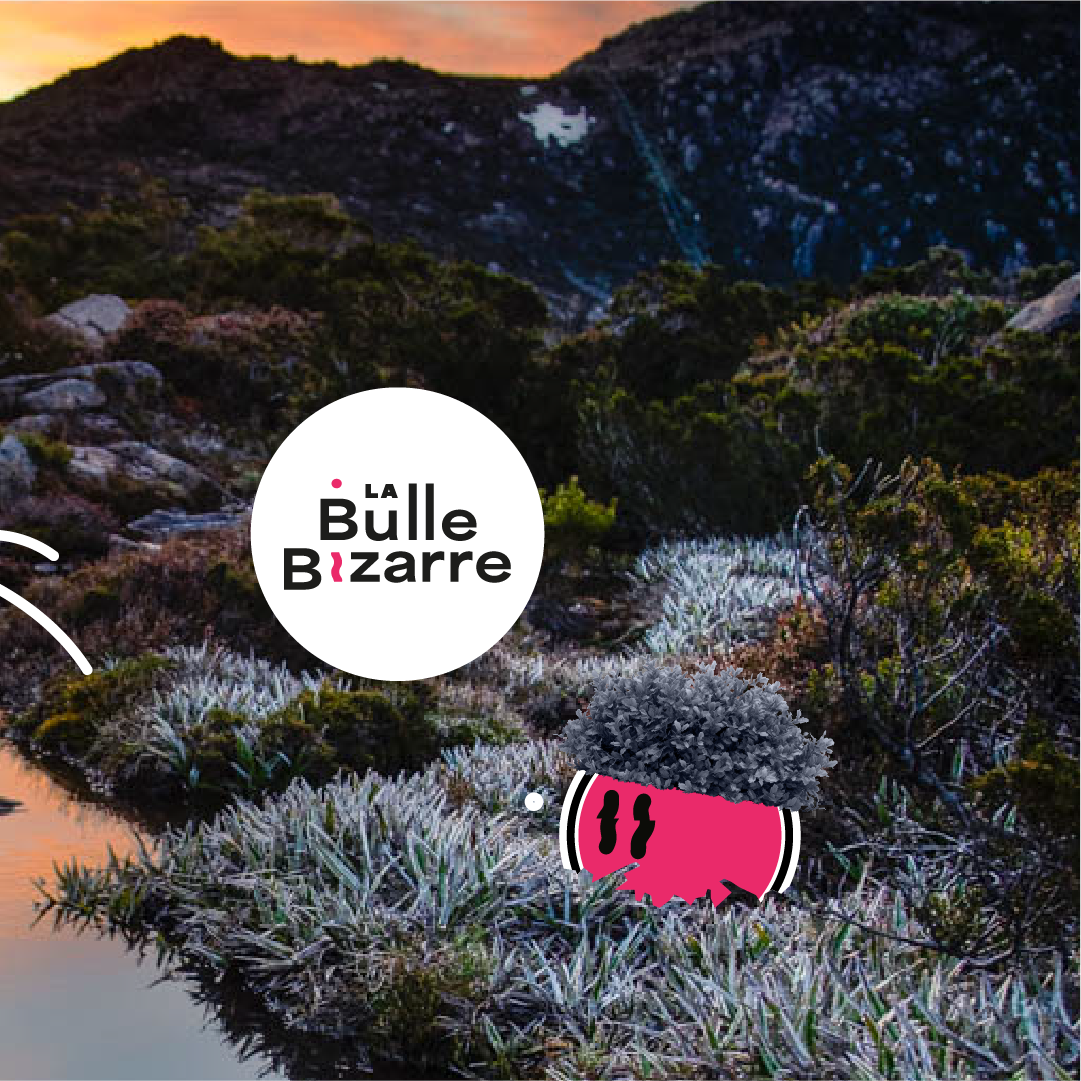 Pack Frambulle - Berliner Weisse framboise Ma boutique