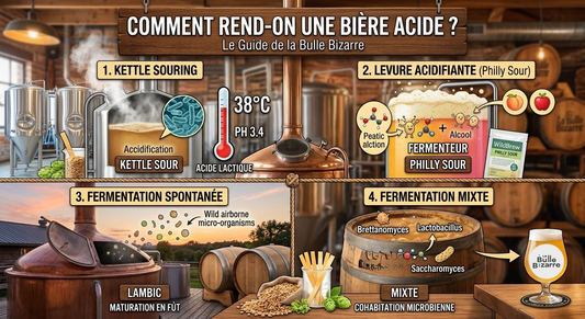 Comment fait-on une bière acide ? Le guide complet des bières sour