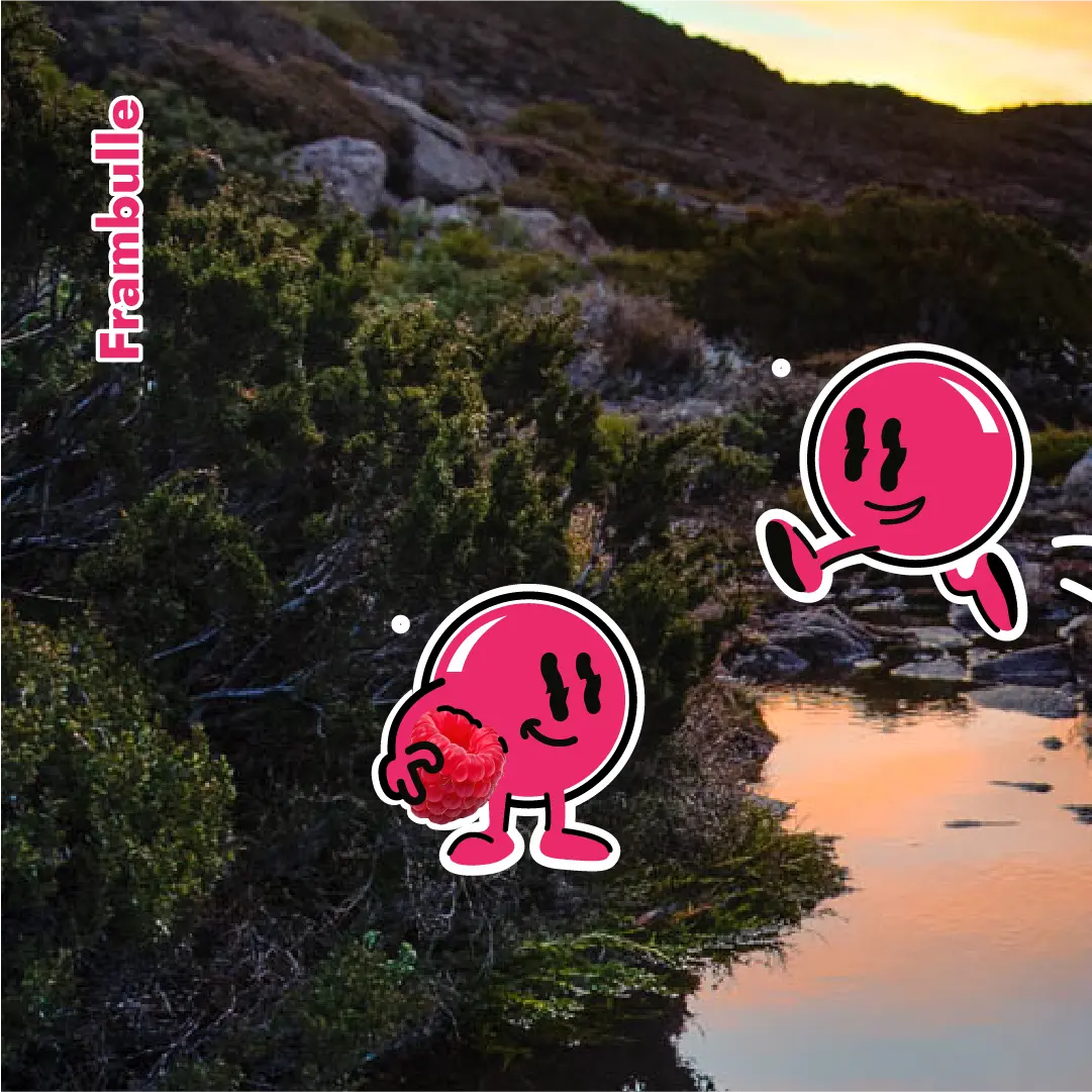 Berliner Wiesse : la bière allemande acidulée qui revient en force - La Bulle Bizarre